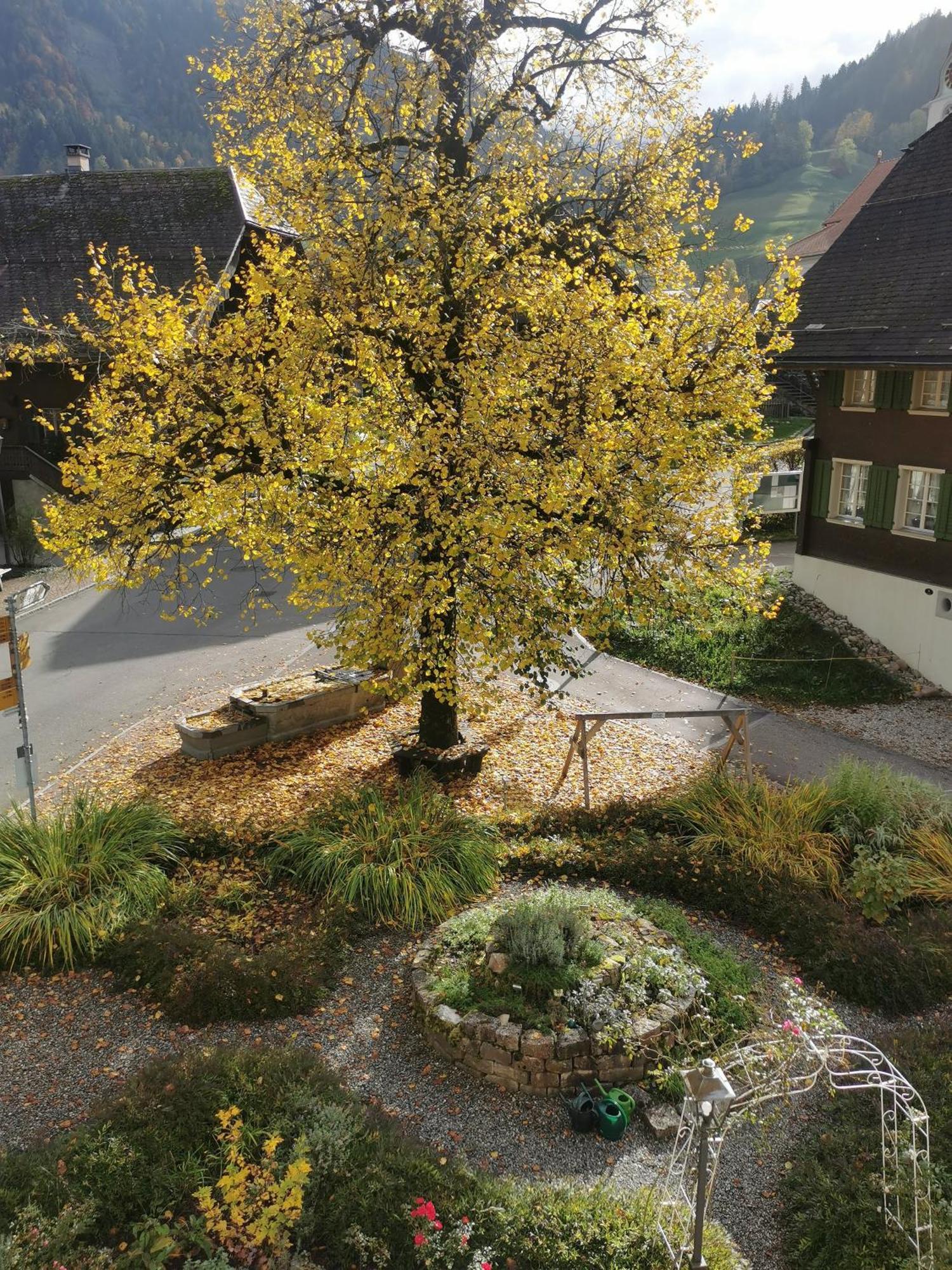 Gasthof Kreuz Marbach Exterior foto